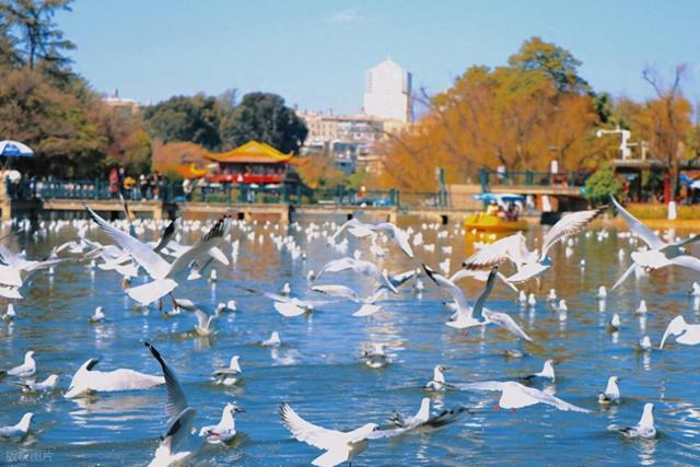 国内必去的 10 大避暑城市，一个比一个凉爽，这个夏天不要错过