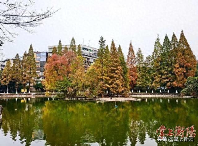 市动物园迎来“颜值巅峰”