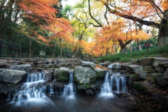 寻香杭州秋日漫行｜一条串起水光、茶田与桂雨的10公里轻徒步路线