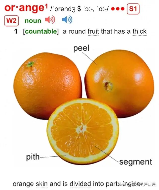 orange英文解释（橘子的英文竟然不是orange感觉这么多年英语白学了）