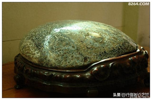 山东行游影记（34）—平邑天宇自然博物馆（九）