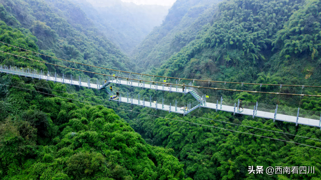 学生免费家长半价！错过等一年！四川秋假景区优惠最全清单来了