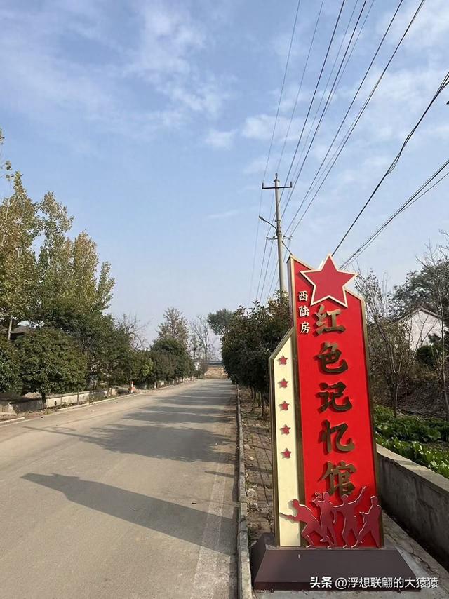 泰安肥城西陆房村里的大白菜