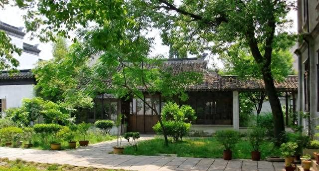 俗语“五树进宅	，人穷家败	”，分别指的哪五树？有道理吗