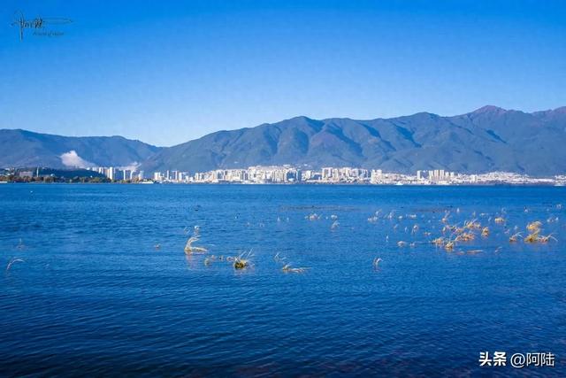 隐藏在洱海边的野营地很多,下关浅滩的土坝就挺有意思,游客罕至