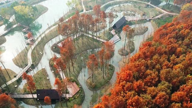 横沔公园成新晋网红打卡点，浦东5座新公园新年齐亮相