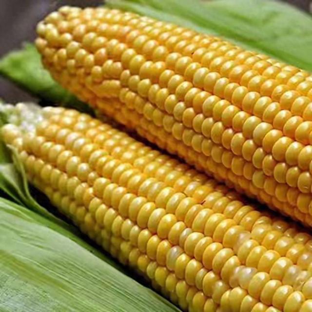 产品介绍 第7页