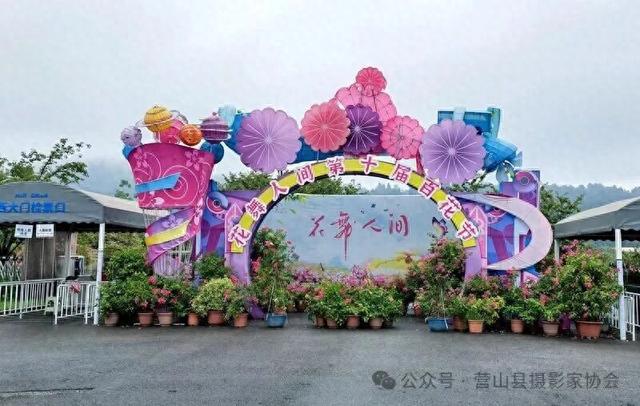 李永辉：寻芳“花舞人间”