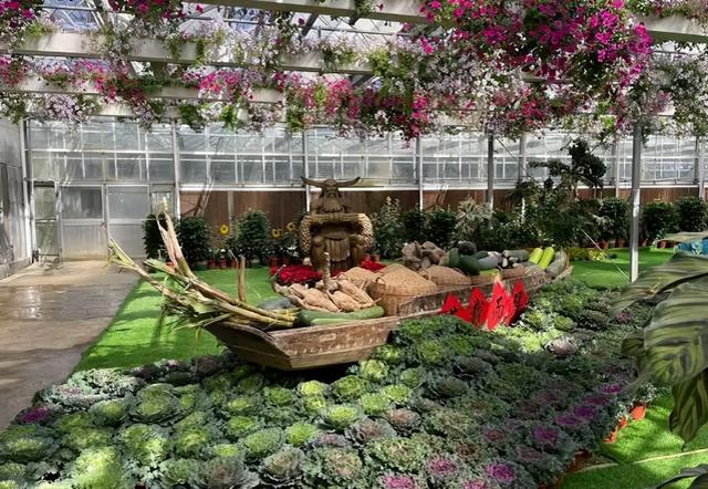 遛娃首选！12月3日佛山农科所开园，这个月都有得睇！