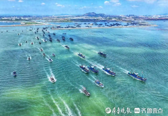 读城记|开海了，开海了