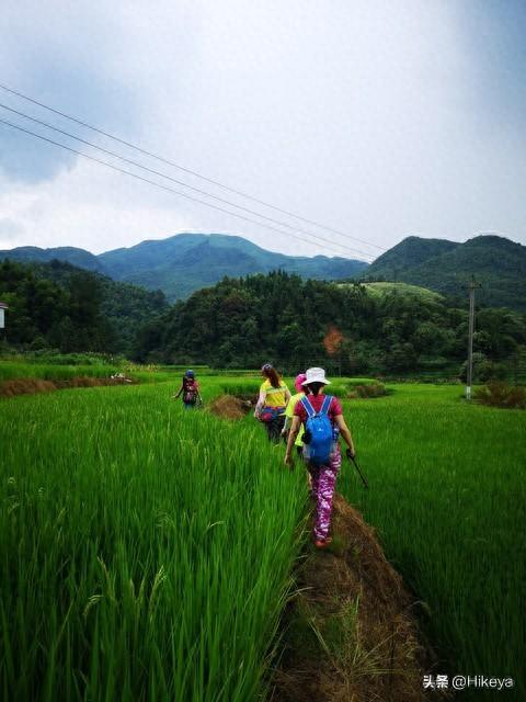 深圳“望郎归”再响安全警钟：生命之殇与户外探险的反思！