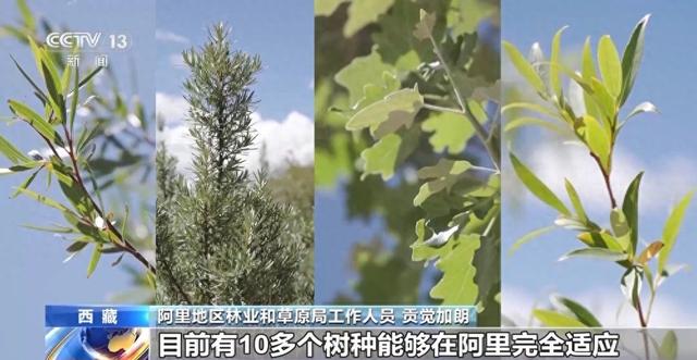 辉煌60载 魅力新西藏丨城市微更新 卫星视角看变化
