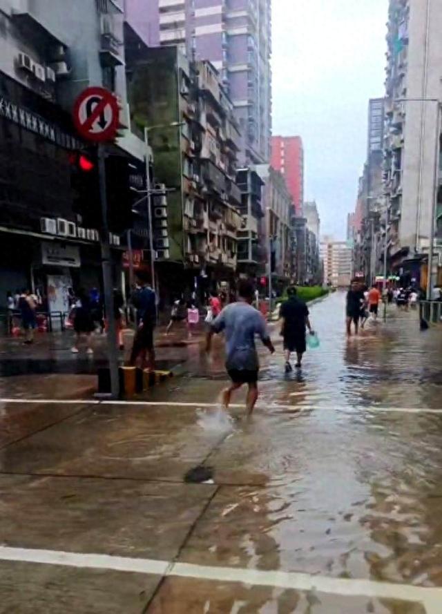 台风“桦加沙”后，澳门街头出现被冲上岸的鱼群，市民上街捉鱼