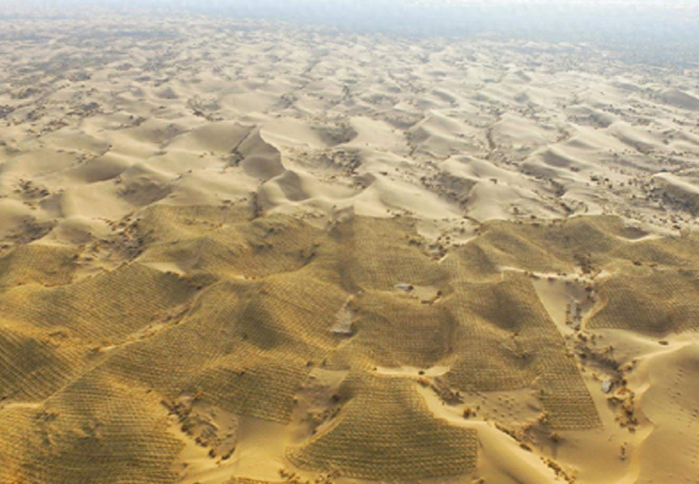 美媒：中国不可怕，可怕的是中国只用10万头猪，就解决了治沙难题