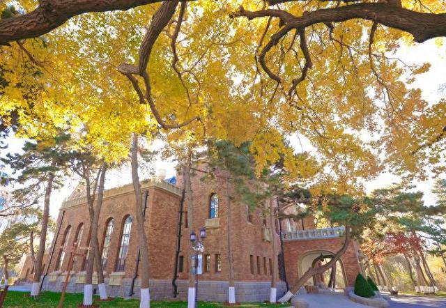 百年鎏金一树秋 | 在松苑咖啡馆，与长春最诗意的五角枫隔窗对望