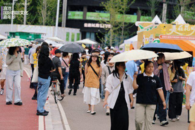 东岸好享，西岸好玩！2025滇池国际咖啡文化嘉年华启幕