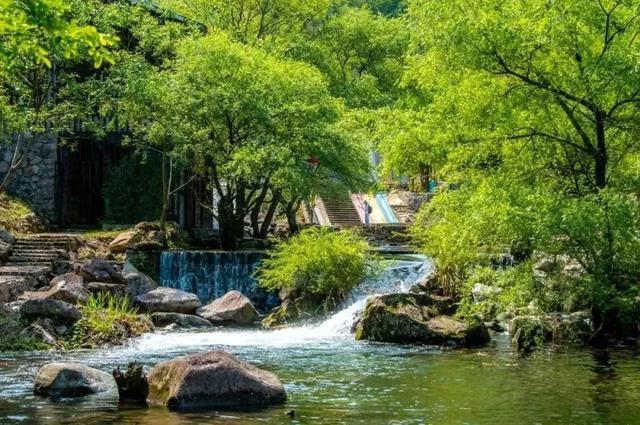 【上饶文旅周报202529】度假避暑×古村寻宝×文化拾珍，上饶夏日惊喜多多！