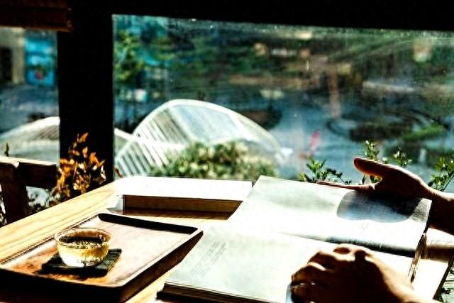 2025年11月16日 第8页