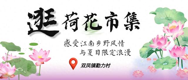火爆全网的“荷花市集”，太仓也有了！