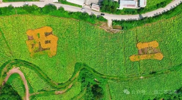 弥勒这里值得一去！好吃、好玩、好看…