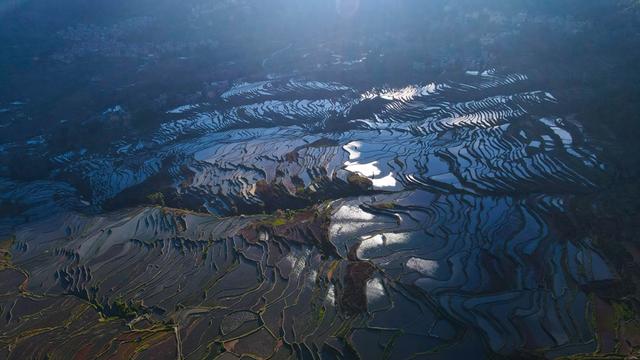 美好生活在云南｜超出片！元阳哈尼梯田最佳观赏期来了