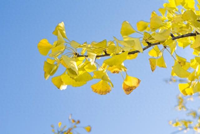 不是迷信！明日立秋，记得：1不洗，2不做，吃3样，别不当回事！