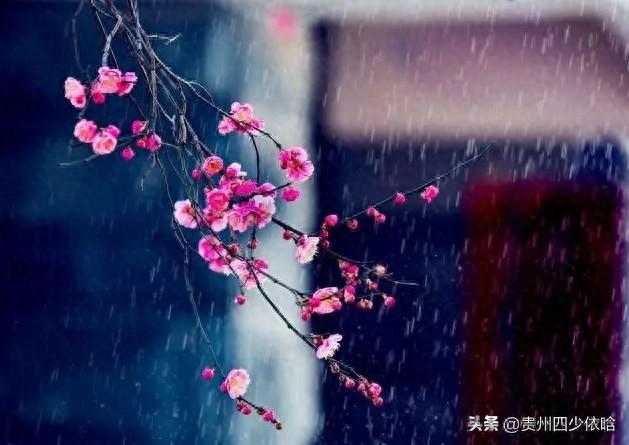 相思泪落十六拍