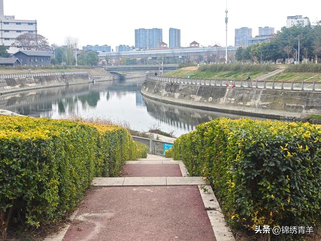 “生态感”拉满 清水河街区宜居宜游滨河空间亮相