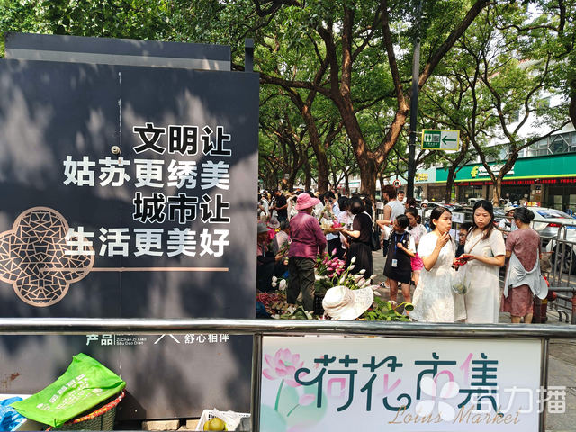 苏州荷花市集“三变”，更美更好逛！