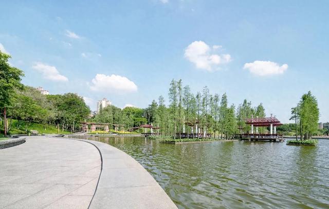 重庆彩云湖国家湿地公园，城市中难得宁静之地，感受大自然的魅力