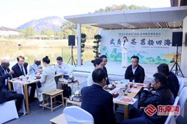 九国驻华使节聚武夷山 体验茶文化促国际交流