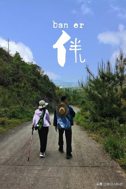 天价陪爬！峨眉山惊现“陪爬”，日薪最高3000元，服务边界引热议