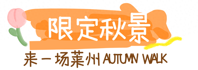 一眼惊艳！烟台这座小城最近太火了