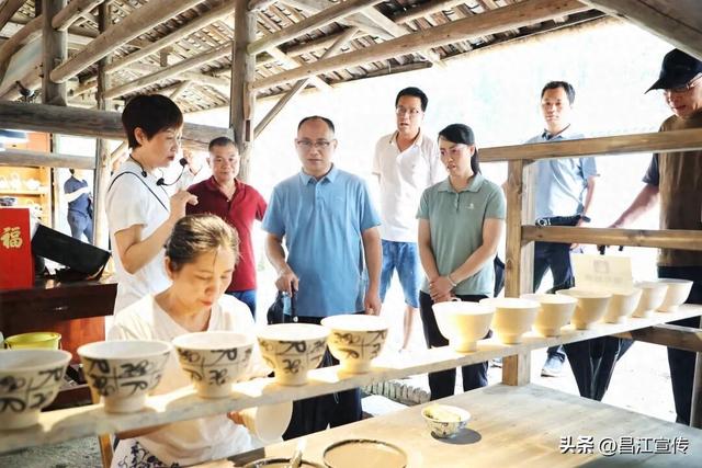 浙江遂昌县考察组来昌江区考察交流