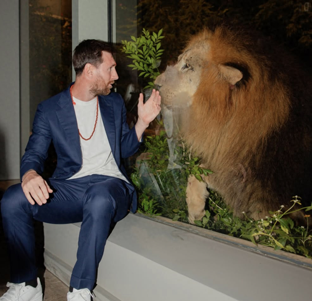 梅西是在哪个国家踢球的（梅西结束印度行与亚洲首富之子共游野生动物保护中心）