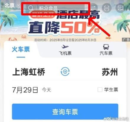 铁路12306上如何查什么站到什么站（如何通过铁路12306APP查询停运车次信息）
