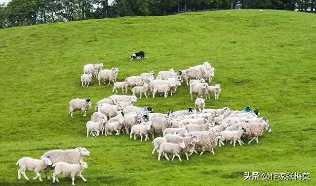 从尕尔湖回来后，我的心态柔和了许多，变得无欲无求