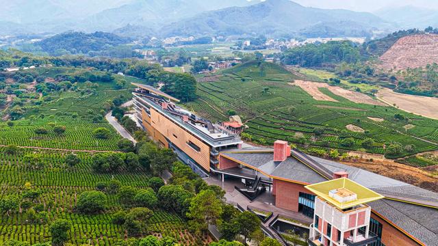 大湾区首个“茶旅疗愈”主题酒店！惠州裸心酒店启幕