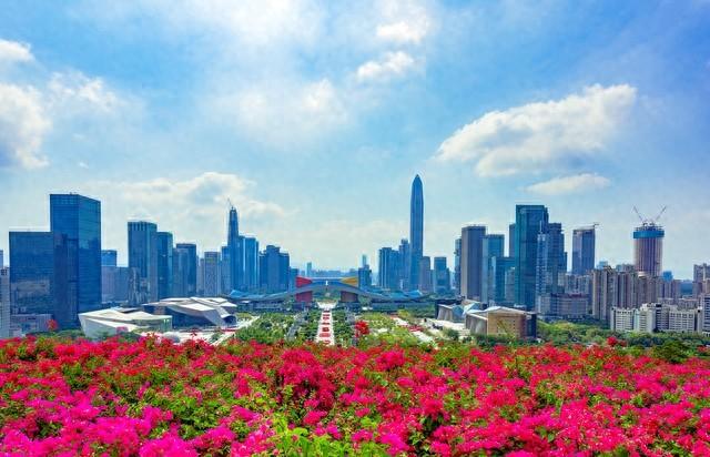 花漫鹏城，墟声鼎沸：2025深圳勒杜鹃赏花周首日走笔