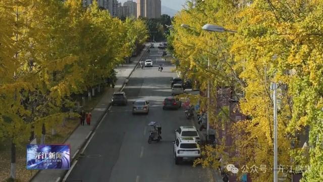 达州开江这里的银杏，太出片了！