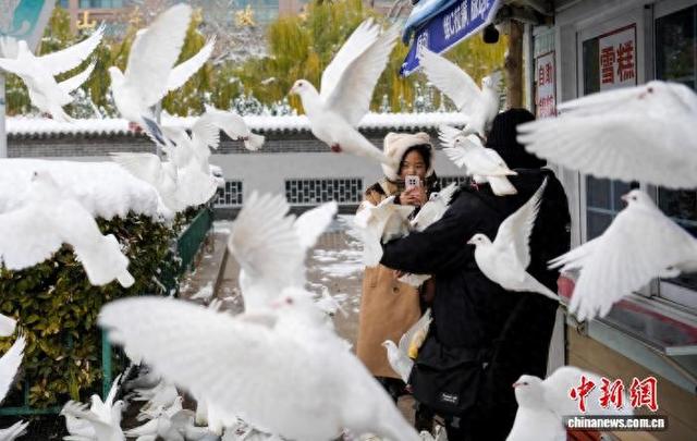 山东济南：市民乐享雪后风光