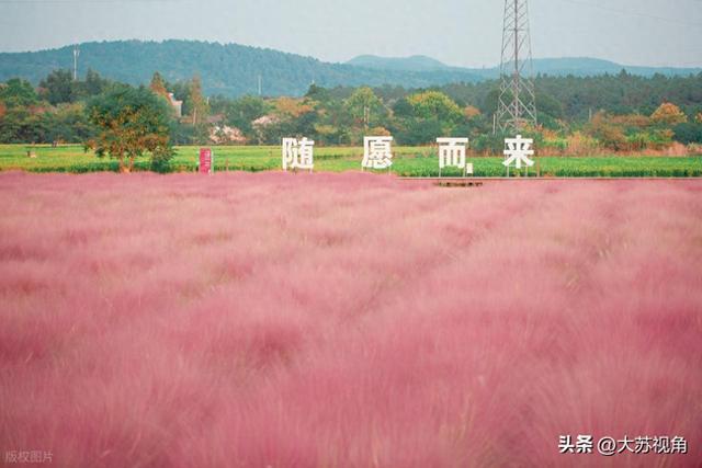 南京人别扎堆市区了！这5个地方央视都来抢拍，秋日直接封神
