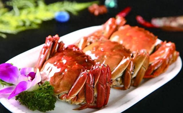 螃蟹种类图片高清大图（饮食百科如下24种蟹）