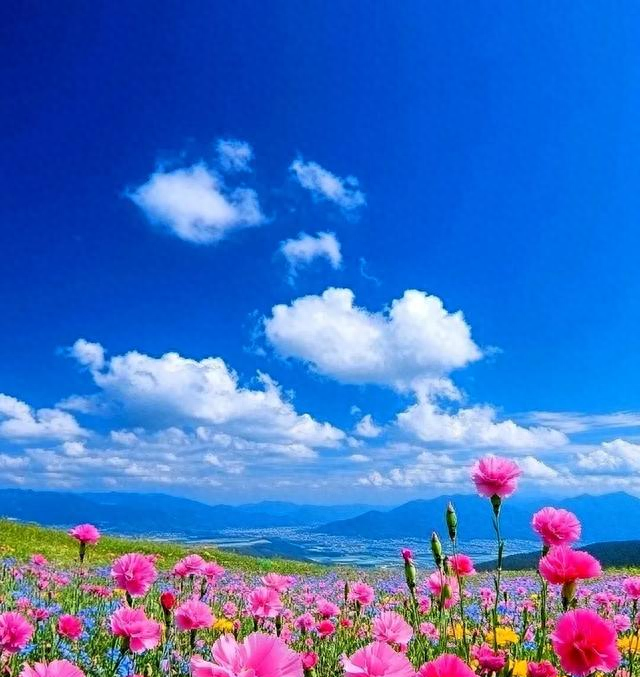 两性关系，女生发“嗯嗯”是什么意思，男人一定要懂