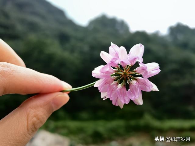 养女儿，咱就得操这个心！