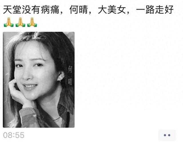 演员何晴去世，《三国演义》“赵云”扮演者张山透露病情：我们是邻居，她罹患脑瘤还中风了