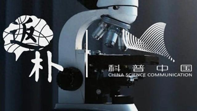 做独立研究者，未来可以发展更好吗？