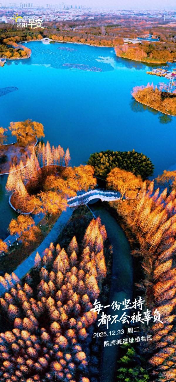 洛阳·早安|每一份坚持都不会被辜负