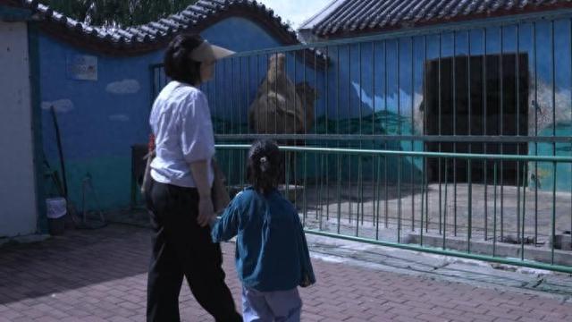 国庆寻趣：探访蒲园里的 “宝藏动物园”