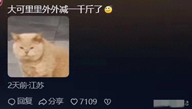 北京250斤女孩逆袭，2张床被睡塌，千斤减肥路，年入百万有啥秘诀
